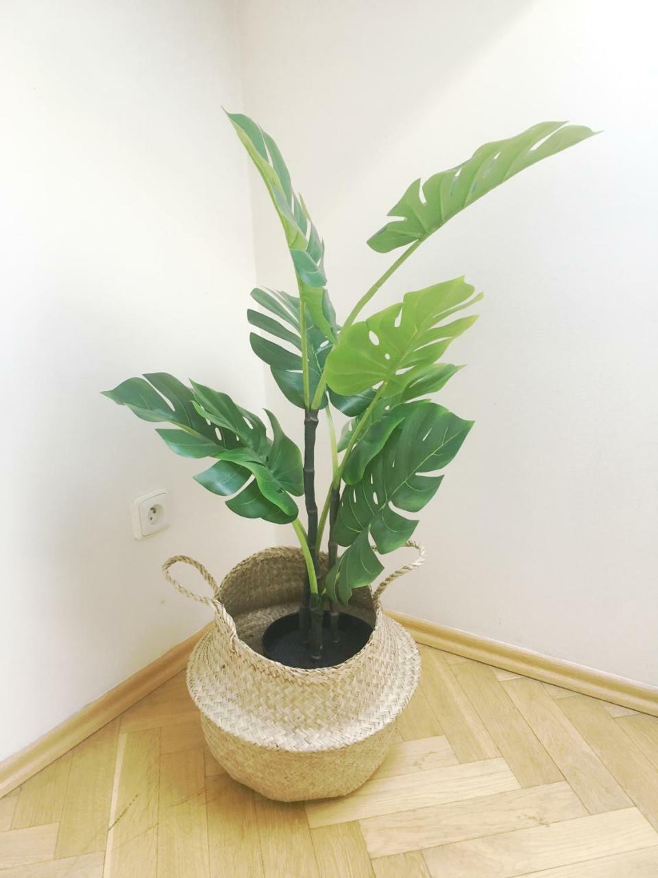 פראג Residence Kostnicke Square מראה חיצוני תמונה